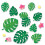 PALMENPARADIES MONSTERA VERLSST BB ST 1
