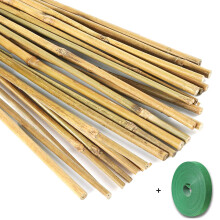 Yowlieu 20 Pcs Varas de Bambu Naturais + 1 Rolo de Laços de Jardim, 45 cm para Plantas de Interior, Tomate, Vasos