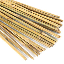 20 Pcs 45 cm Suportes de Bambu Natural para Plantas de Interior, Varas de Bambu para Plantas em Vaso, Tomate, Feijões