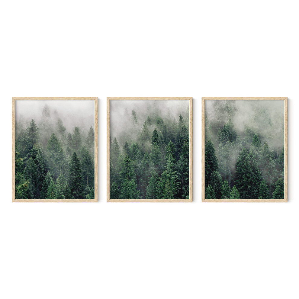 HAUS AND HUES Misty Forest Print Nature Poster - Affiches foresti   res Paysage