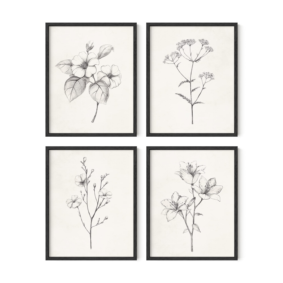 HAUS AND HUES Framed Vintage Botanical Prints - Set of 4 Framed Farmho