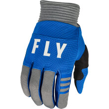 Fly Racing 2023 Erwachsene F-16 Handschuhe (Blau/Grau X-Large)