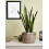 Concept Casa - Grande toile cire  la main 4