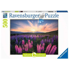 Ravensburger - Puzzel voor volwassenen - Puzzel van 500 stukjes - Lupinen (Natuur
