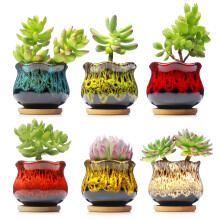 Fulloog Cute Cerâmica Vasos para Suculentas, Jardins com Drenagem e Prato, Conjunto de 6 - Plantas Não Incluídas