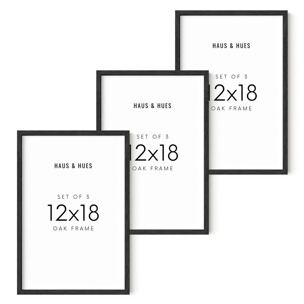 Ensemble de 3 cadres pour affiches 12x18 HAUS AND HUES Cadres photo 18 x 12 Cadres en bois noir Cadres photo 12x18 pour affiches murales noires