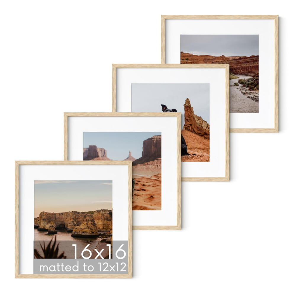 Cadres photo en bois de ch   ne massif HAUS AND HUES 16 x 16 avec passe-partout 12 x 12 Ensemble de 4 cadres 16 x 16 pour cadres muraux carr   s avec
