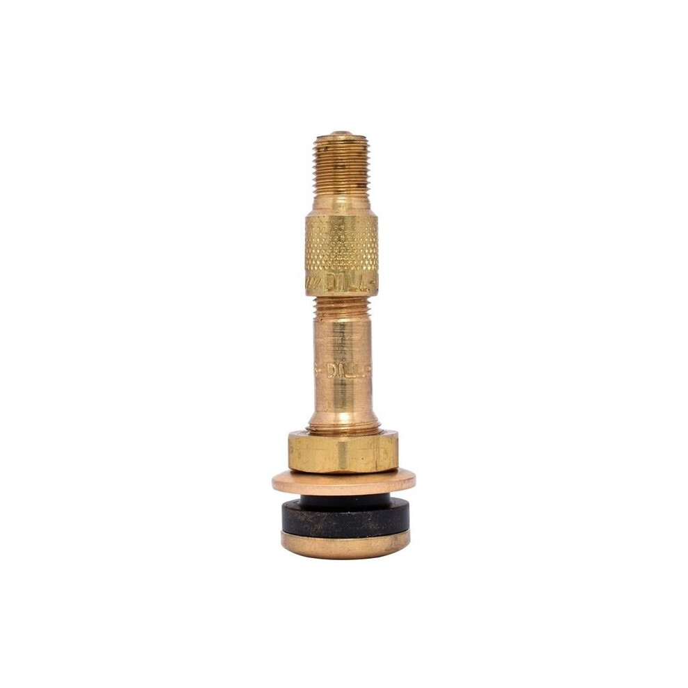 Dill Air Controls Dilvs-902-K Brass Tire Valve For Ford F Series Outer Steel Wheel 091714016739