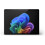 Microsoft Microsoft Surface Pro | 13" OLED Touch Screen |  16GB RAM | 512GB SSD 2