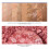 Laura Geller Beauty LAURA GELL 2