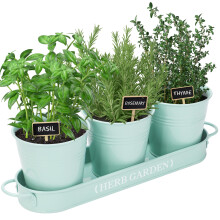 Perfniques Indoor Garden Garden Garden Herb Garden Planter pour plante de ferme interieure / exterieure Pottes de fenetre Windowsill Herb Garden