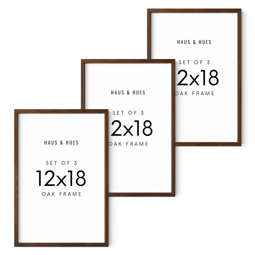 Cadres photo 12x18 HAUS AND HUES pour mur Ensemble de 3 cadres pour affiches Cadres photo 12x18 Ensemble de 3 cadres pour affiches 12x18 F
