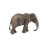Schleich Schleich African Elephant 2024 3