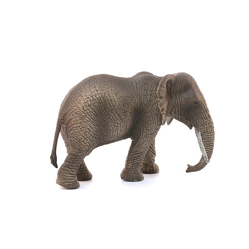 Schleich Schleich African Elephant 2024 2