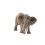 Schleich Schleich African Elephant 2024 5