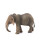 Schleich Schleich African Elephant 2024 4
