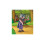 PLAYMOBIL PLAYMOBIL Asterix 71546 Lgfix 2