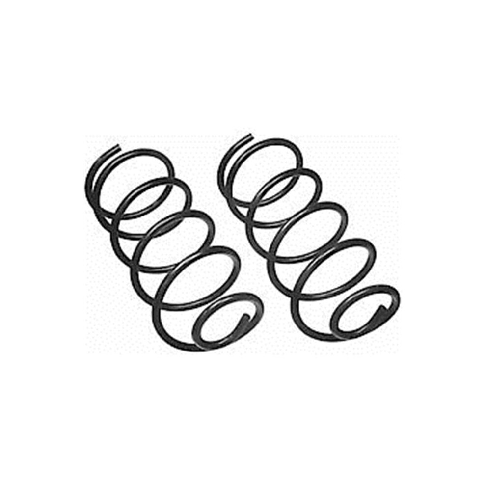 Moog 81134 Coil Spring Set 080066365930