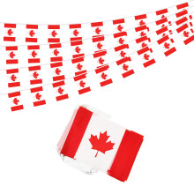 50 Feet Canada Banner Flag String  Canadian Mini Flag Small Banner  fo
