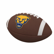 Logo Brands 198-93FC-1 Pittsburgh Team Stripe Official-Size Composite Football