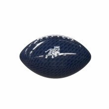 Logo Brands 252-93MG-1 Jackson State Carbon Fiber Mini Size Glossy Football