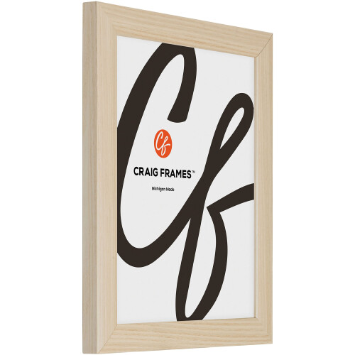 Craig Frames Contemporary  4x6 Picture Frame  Natural 2