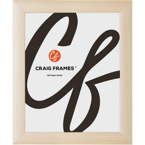 Craig Frames Contemporary  17x23 Picture Frame  Natural