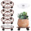 5 CADDY PLANT PLAQUE AVEC ROUES SUPPORT DE PLANTURE METAL DUTS HEPT DUT 1