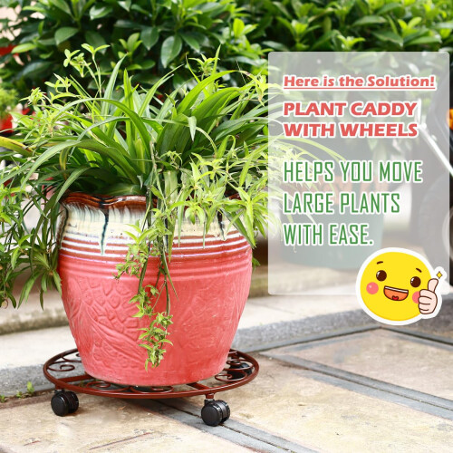 5 CADDY PLANT PLAQUE AVEC ROUES SUPPORT DE PLANTURE METAL DUTS HEPT DUT 2