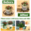 Pacote com 20 Pratos de Plástico Transparentes 18 polegadas para Vasos Plantas 4