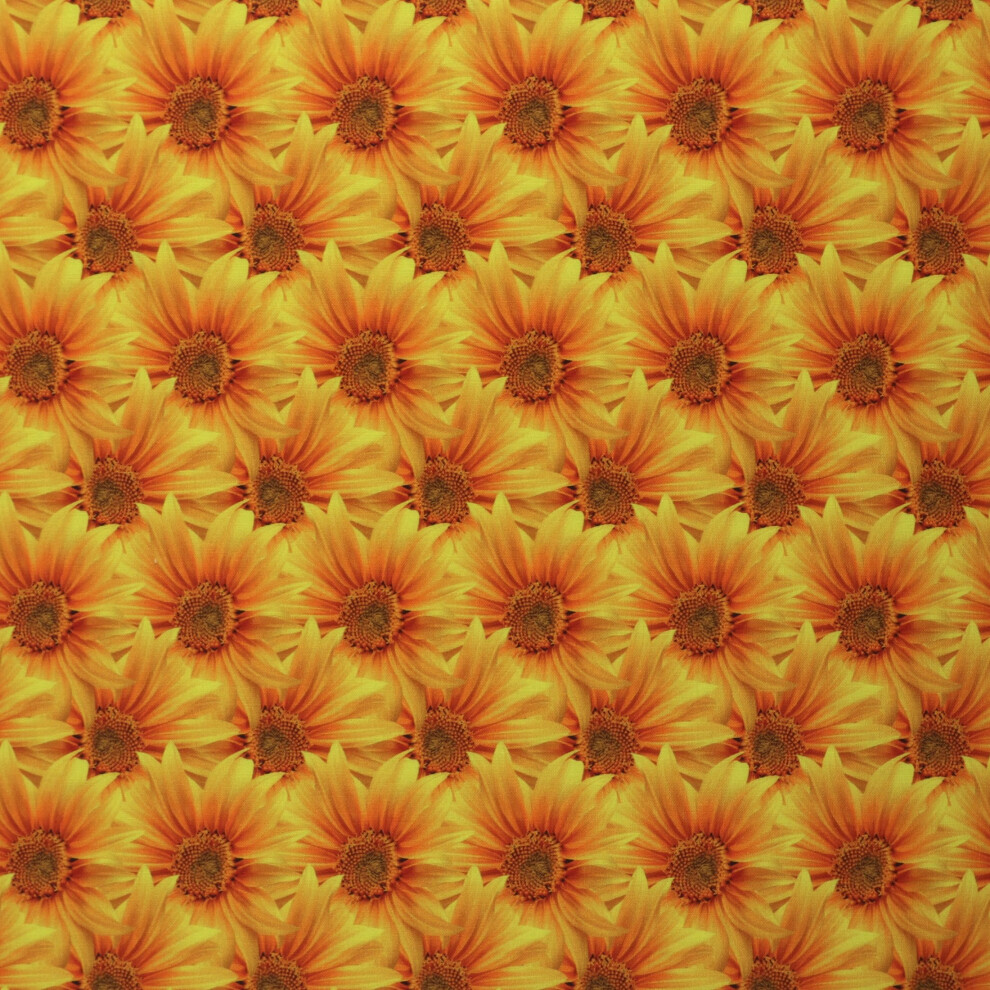 Mook Fabrics Cotton Sunflower Dsn Yellow 15 Yard Bolt-image