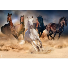 BEDUKE Puzzle pre dospel ch 1000 dielikov Rodinn hra K n 1000 dielikov Hrub , pevn , presn , prepojen , vek 14+