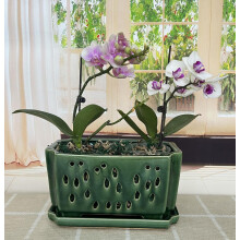 Fowargif 10inch Rectangle Ceramic Orchid pots with Holes with saucer (Shinny Green)