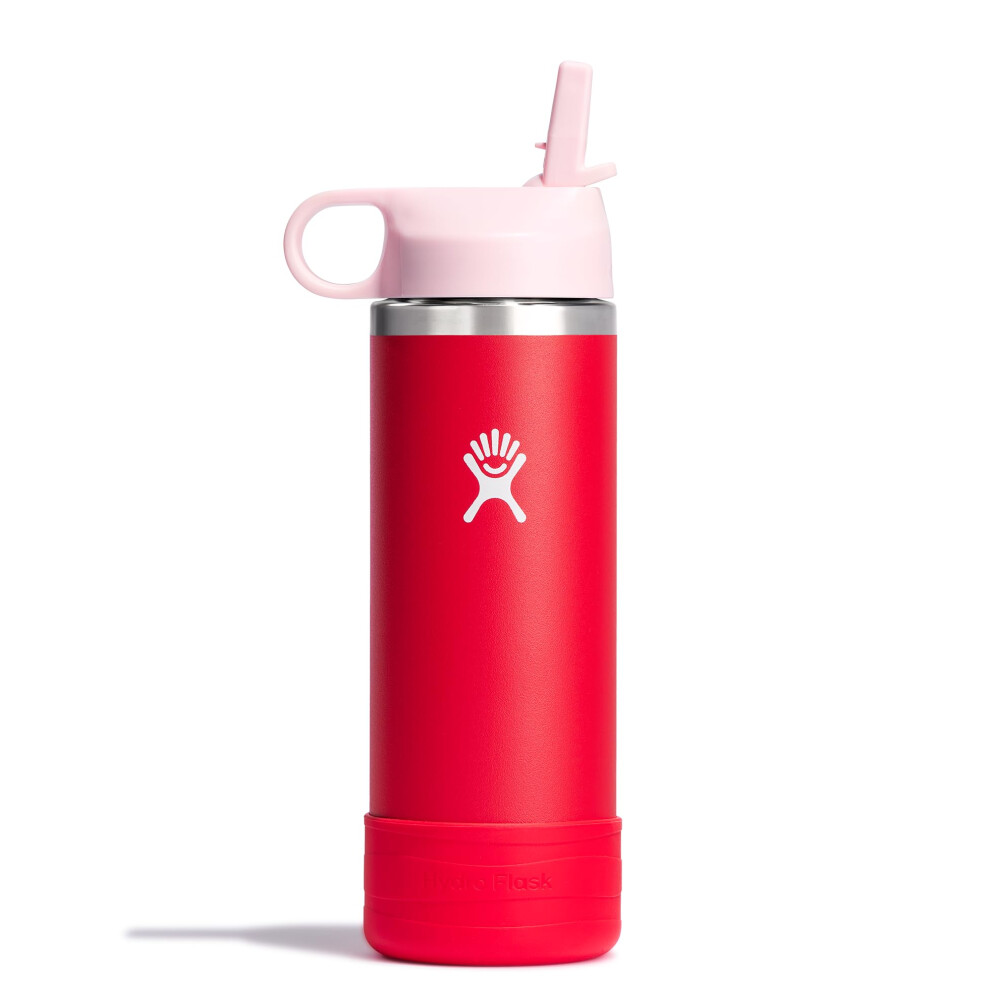 Hydro Flask 18 Oz Kids Wide Mouth Straw Cap And Boot Goji