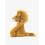 jELLY CAT Jellycat Medium Bashful Lion Collectable Plush 2