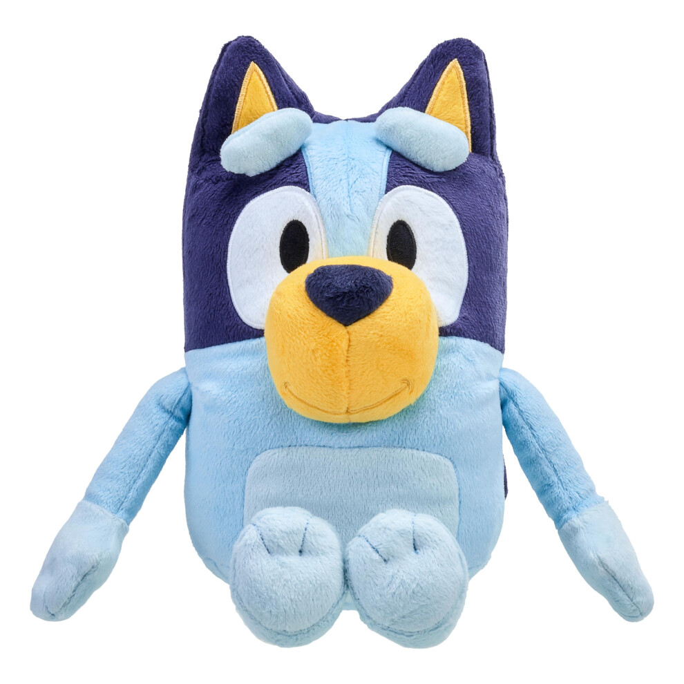 Y Talking Teddy Bear, 31Cm, Blue
