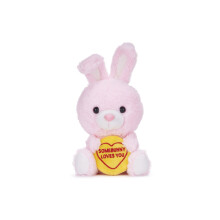 Swizzels Love Hearts 18cm (7-Inch) Baby Bunny Rabbit ?SOMEBUNNY LOVES YOU? Plush Soft Toy