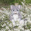 Wrendale Wrendale Designs - ''Esmeralda' cat plush character 2