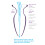 Pipedream Anal Fantasy Beginners Glass Anal Gaper - Anal Training Sex Toy for Adults 2