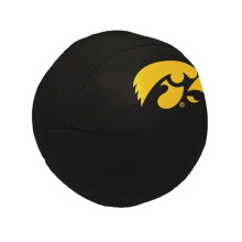 Logo Brands 155-91MCS Iowa 4 in. Micro Soft Basketball