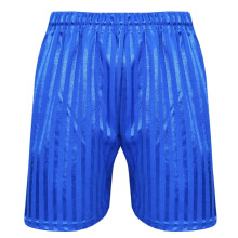 (2-3 Years, Royal) Kids Unisex Shadow Stripe Shorts Sports School