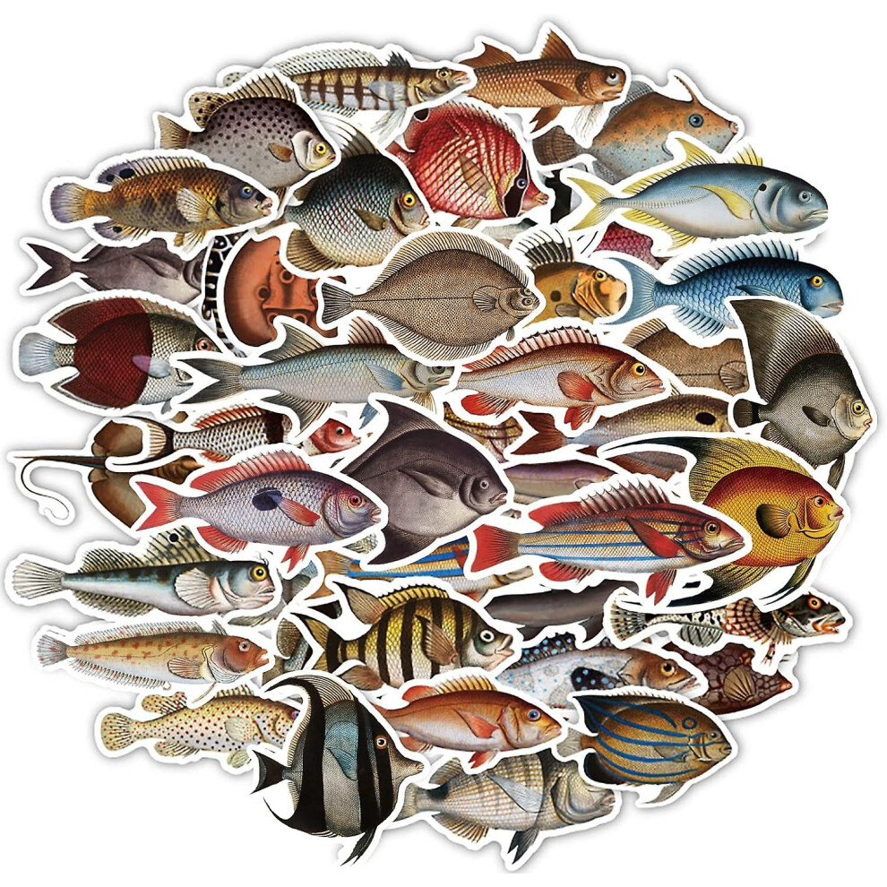 Konhill (As Show, One Size) Marine Fish Children's Decals, 50Pcs Lifelike Animals Cute Funny Stickers Kettle Class Rewards Notebook Scrapbook Birthday Par
