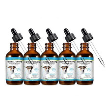 (5pcs) Yegbong Cough Drops Treat Pet Cough Care Pure Natural Mild Non-irritating