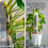 4 Pcs 17 Inch Plastic Moss Pole for Plants Monstera,Designed Specifically Climbing Plants, Stackable Plant Support 7