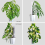4 Pcs 17 Inch Plastic Moss Pole for Plants Monstera,Designed Specifically Climbing Plants, Stackable Plant Support 5