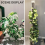 4 Pcs 17 Inch Plastic Moss Pole for Plants Monstera,Designed Specifically Climbing Plants, Stackable Plant Support 8