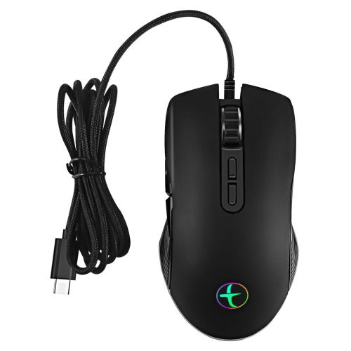 USB C Mouse Type C Ergonomic Wired Mouse RGB Gaming Mouse