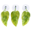 Fish Hammock Plant Leaf Mat Fish Spreading Breeding Reseting κρεβάτι 3