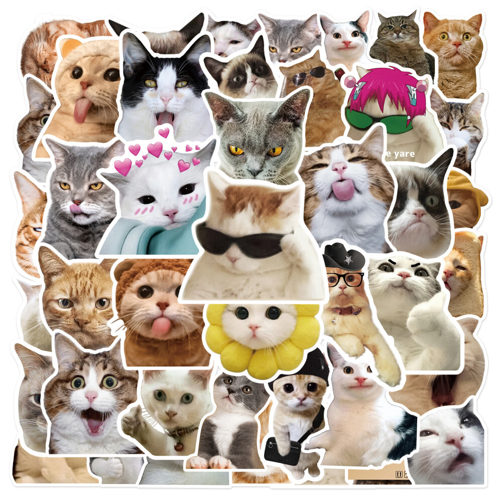 (MULTICOLOR) 50Pcs Funny Cat Meme Stickers Water Bottle Kitten Stickers Laptop Luggage Notebook Skateboard Waterproof  Vinyl Car Decals