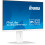 iiyama iiyama ProLite XUB2497HSU-W2 1
